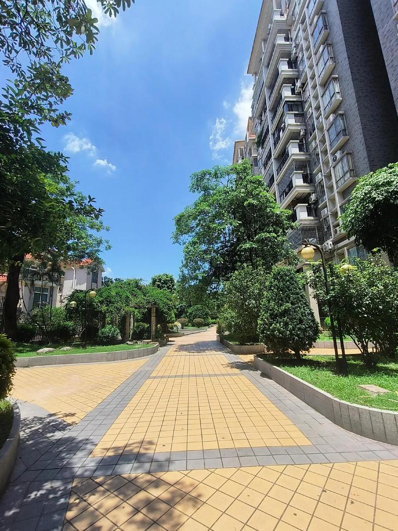 顺德新楼盘动态：引领现代居住新风尚